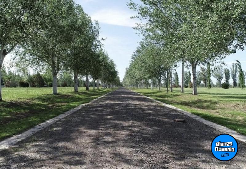 Terrenos - Pi馿ro - Venta