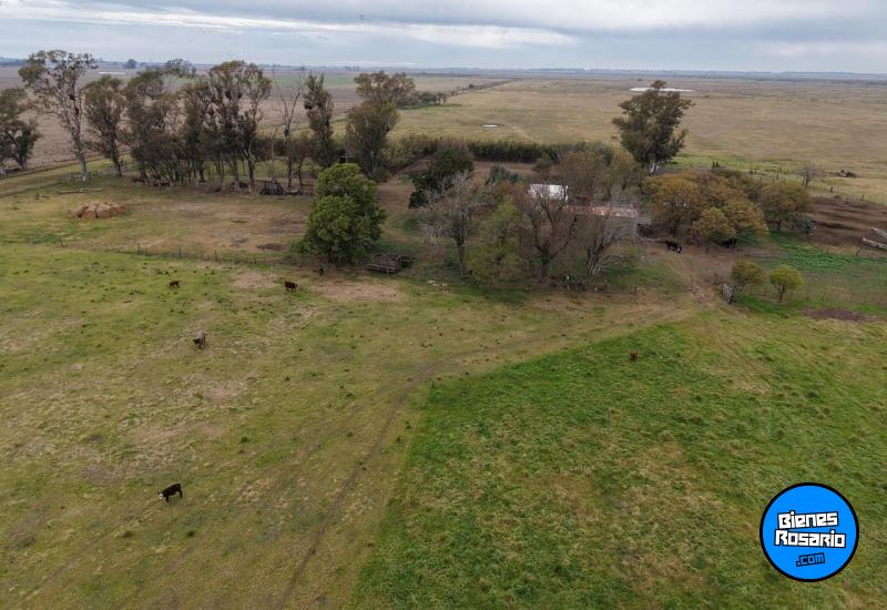 Campos - Tortugas - Venta