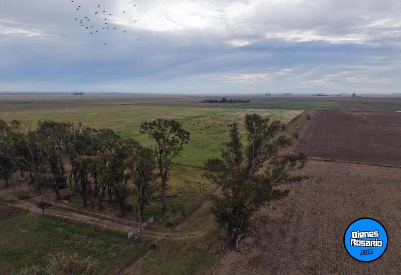 Campos - Tortugas - Venta