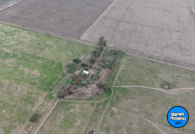 Campos - Tortugas - Venta