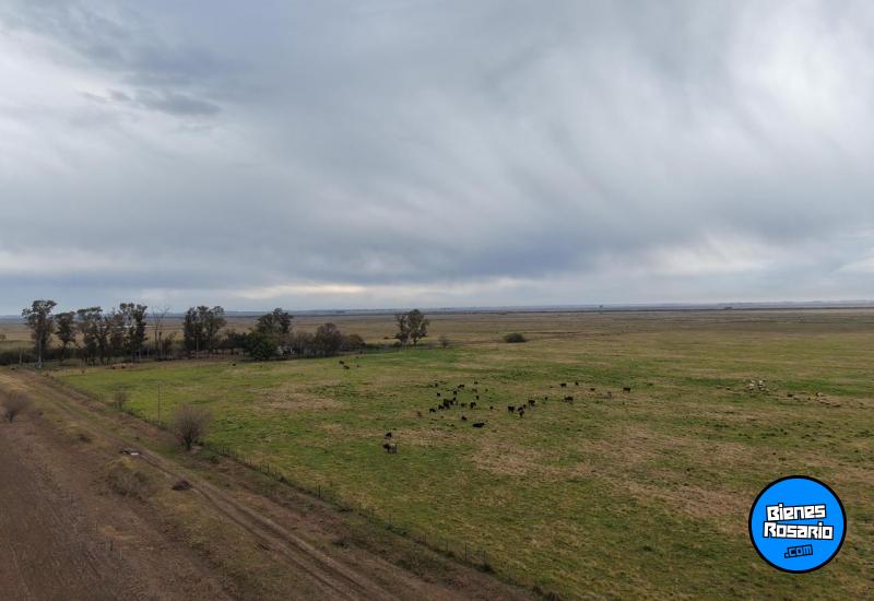 Campos - Tortugas - Venta