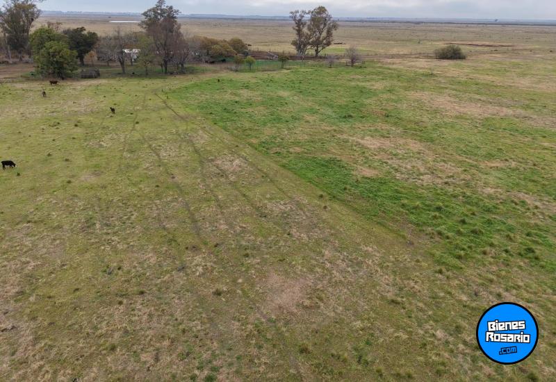 Campos - Tortugas - Venta