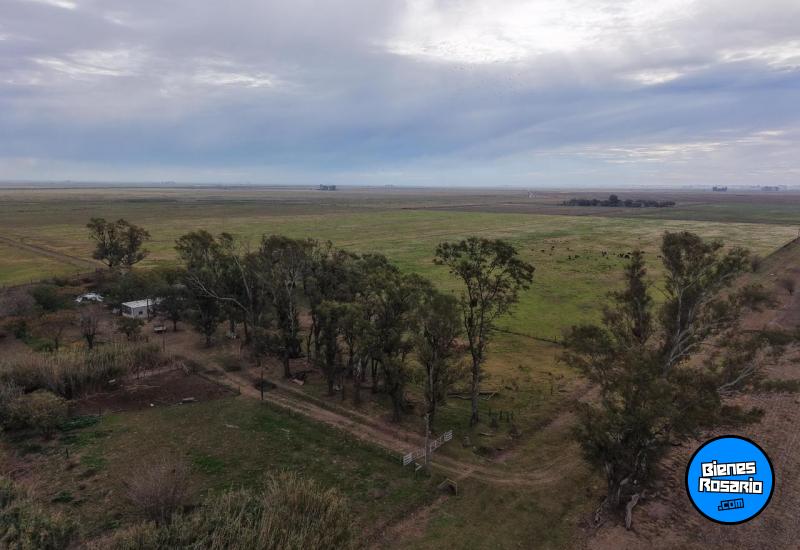 Campos - Tortugas - Venta