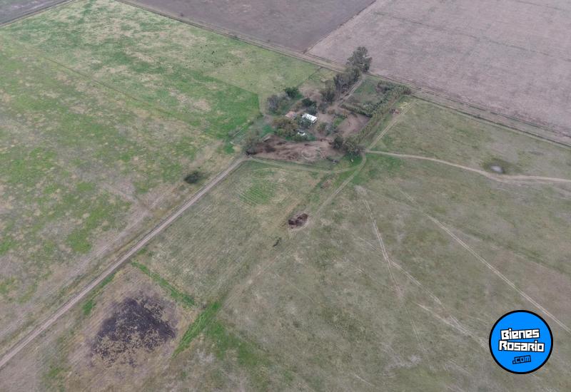 Campos - Tortugas - Venta