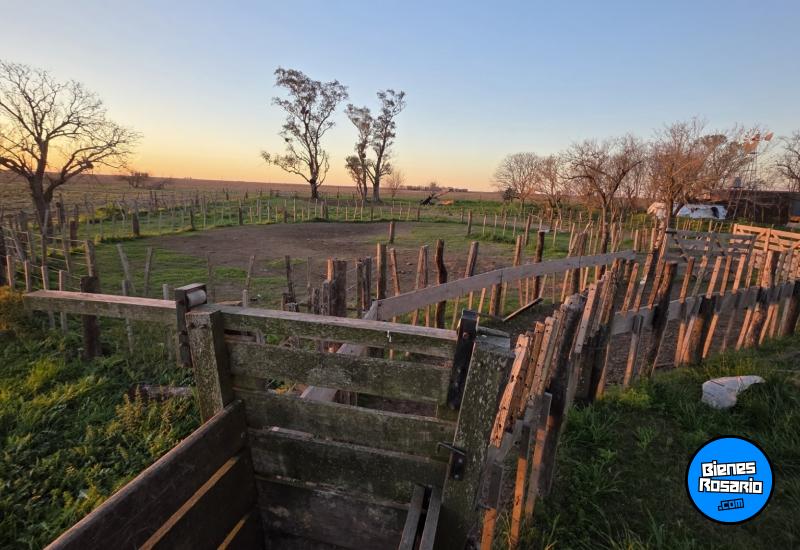 Campos - Tortugas - Venta