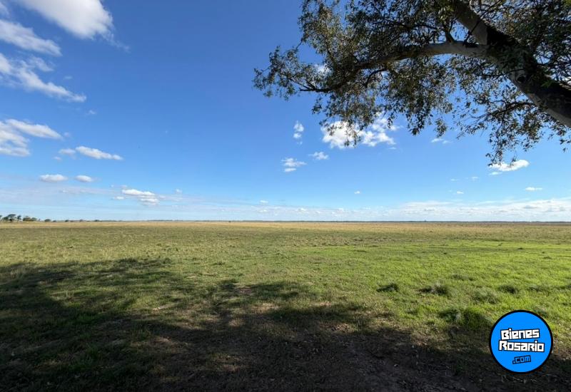 Campos - Tortugas - Venta