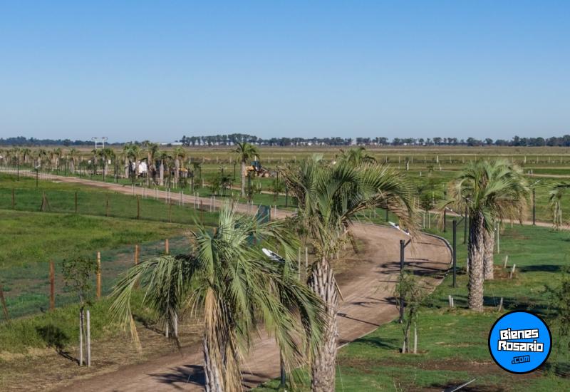Terrenos - Ibarlucea - Venta