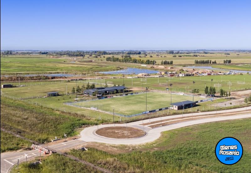 Terrenos - Ibarlucea - Venta
