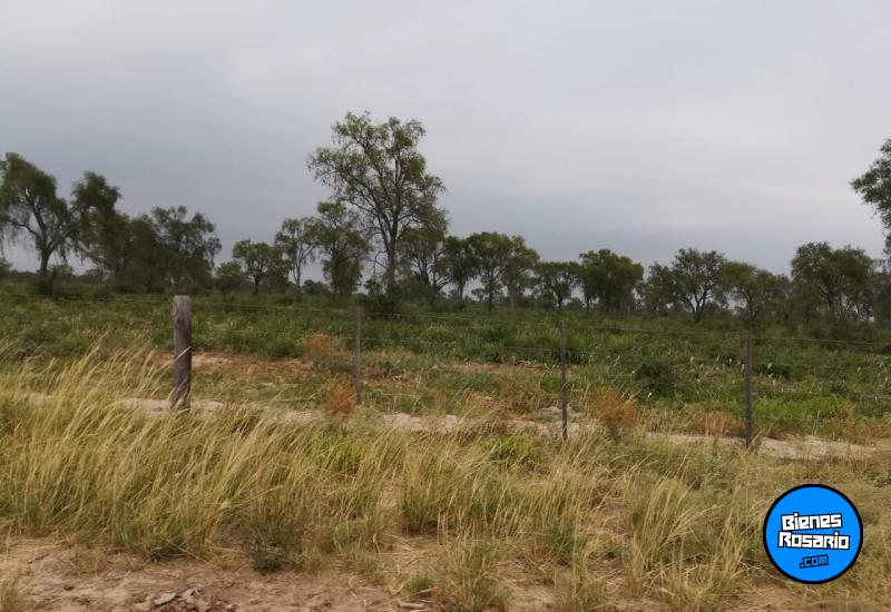Campos - Otra Ciudad - Venta