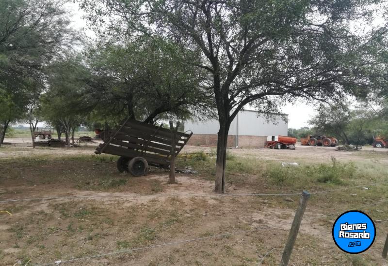 Campos - Otra Ciudad - Venta