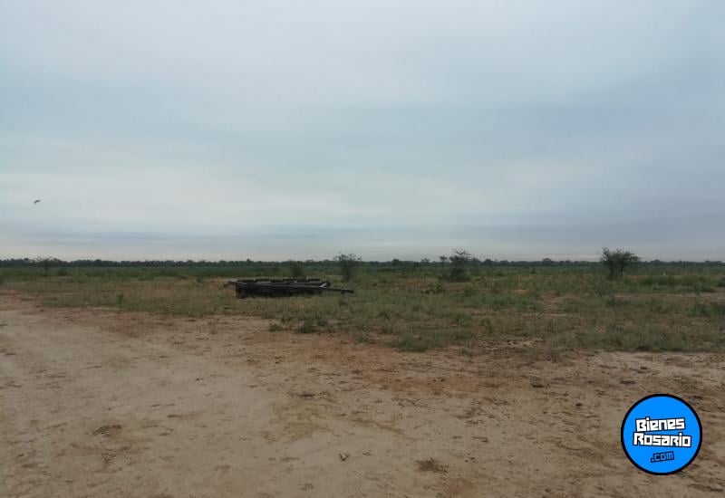 Campos - Otra Ciudad - Venta