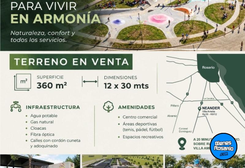 Terrenos - Villa Amelia - Venta