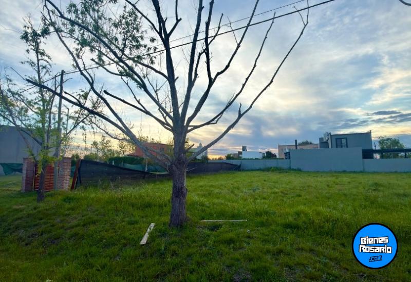 Terrenos - Roldan - Venta