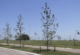 Terrenos - Rosario - Venta