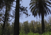 Terrenos - Rosario - Venta