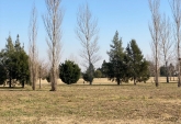 Terrenos - Rosario - Venta