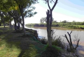 Terrenos - Monje - Venta