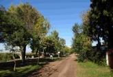 Terrenos - Monje - Venta