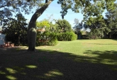 Terrenos - Monje - Venta