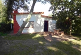 Terrenos - Monje - Venta