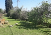 Locales - Puerto General San Martin - Venta