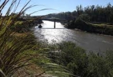 Terrenos - Oliveros - Venta