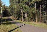 Terrenos - Oliveros - Venta