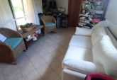 Casas - Oliveros - Venta