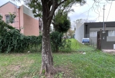 Terrenos - Funes - Venta