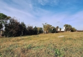 Terrenos - Melincue - Venta