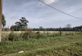 Terrenos - Granadero Baigorria - Venta