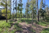 Terrenos - Timbues - Venta