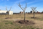 Terrenos - Funes - Venta