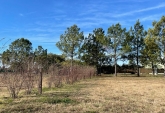 Terrenos - Funes - Venta