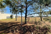 Terrenos - Funes - Venta