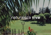 Terrenos - Fighiera - Venta