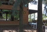 Terrenos - Fighiera - Venta