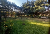 Casas - Pueblo Esther - Venta