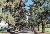 Terrenos - Rosario - Venta