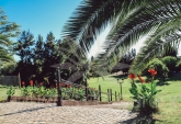 Terrenos - Rosario - Venta