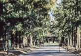 Terrenos - Rosario - Venta