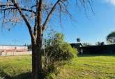 Terrenos - Roldan - Venta