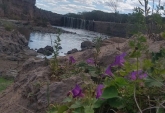 Terrenos - Pavon - Venta