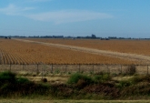 Terrenos - Andino - Venta