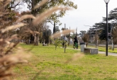 Terrenos - Rosario - Venta