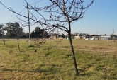 Terrenos - Granadero Baigorria - Venta