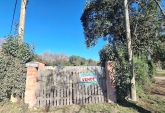 Casas - Melincue - Venta