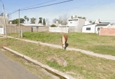 Terrenos - Rosario - Venta