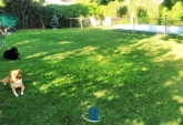 Casas - Roldan - Venta
