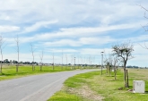 Terrenos - Rosario - Venta